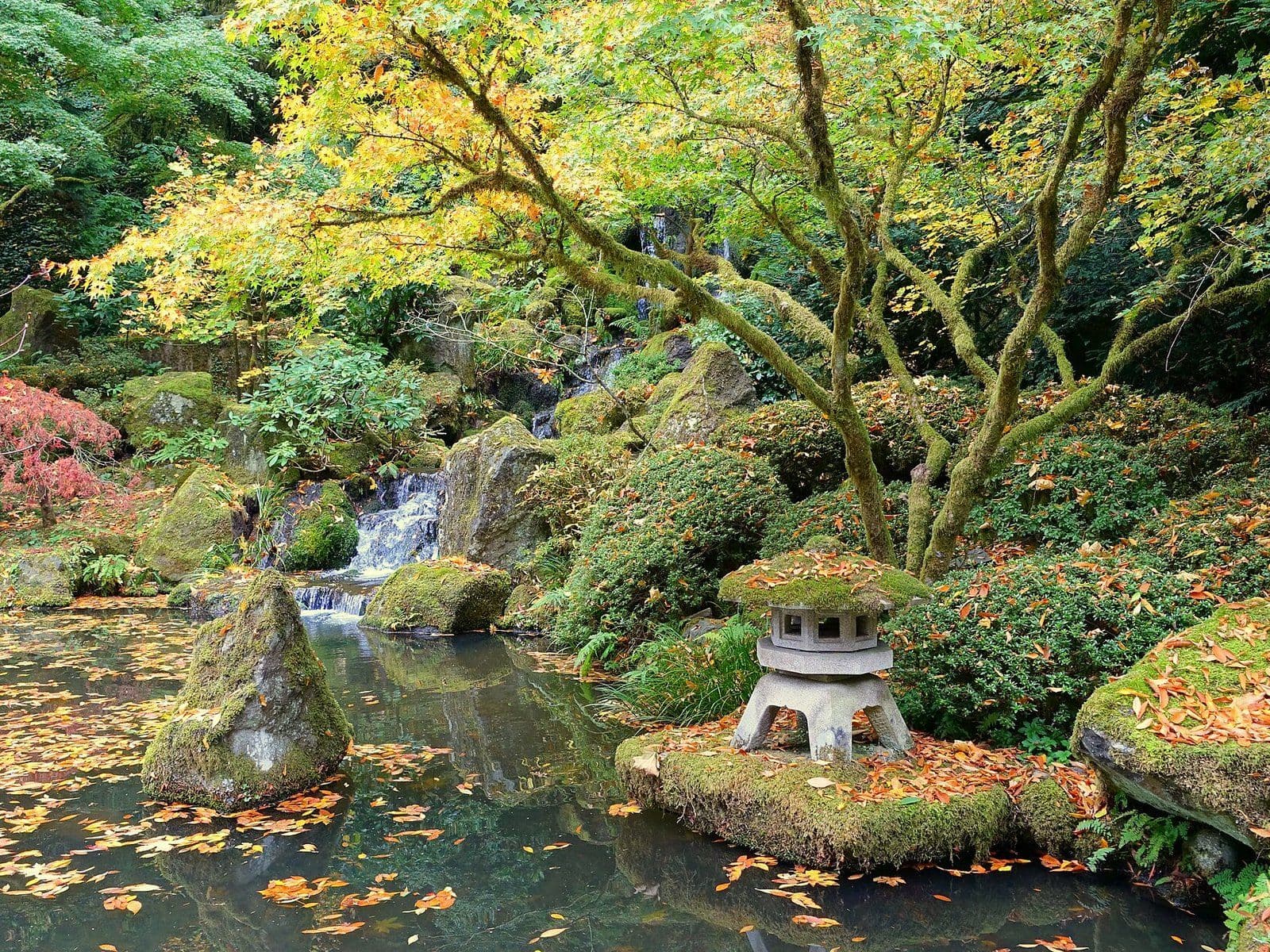 Portland Japanese Garden
